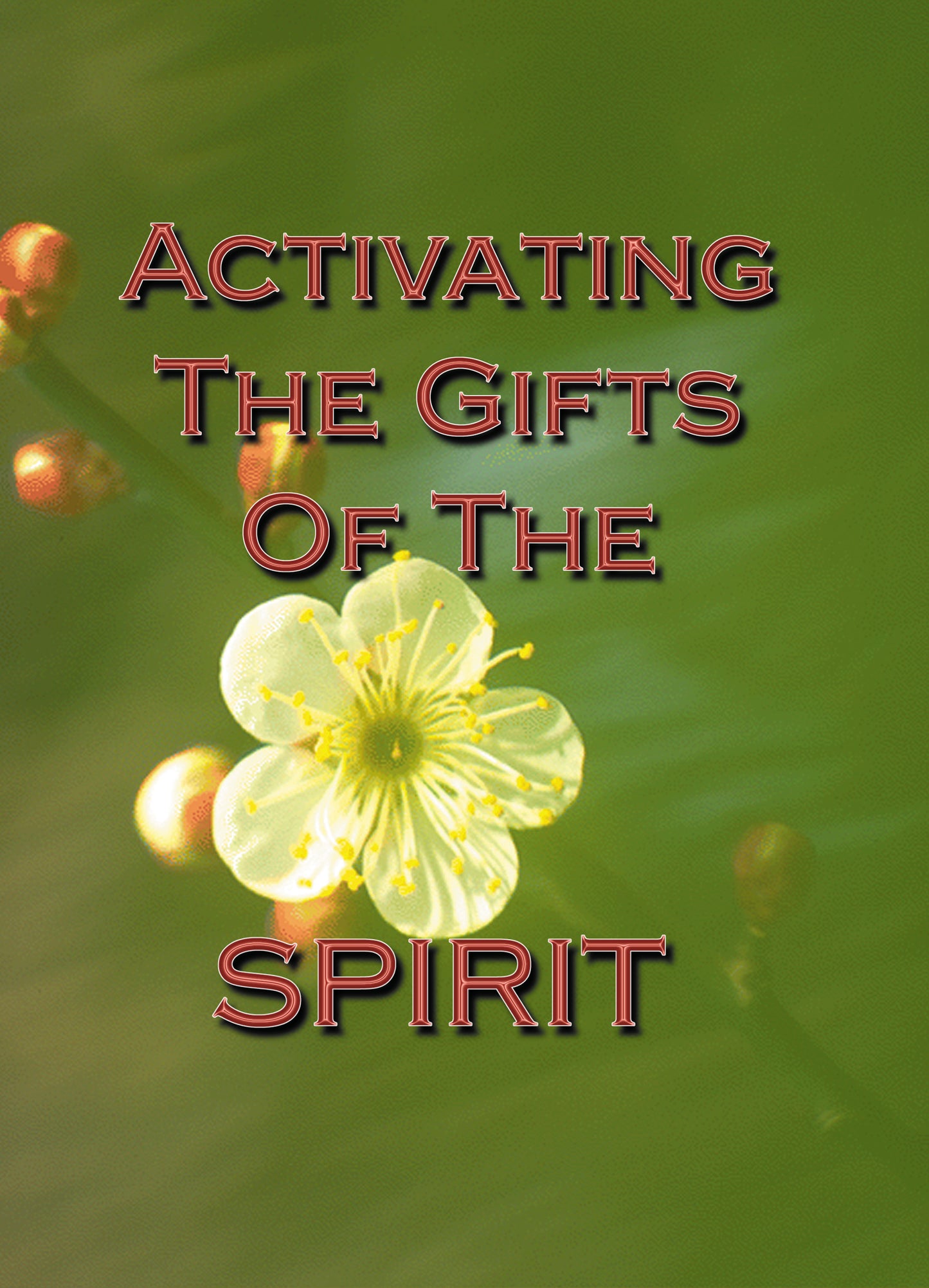 Activating the Gifts of the Spirit